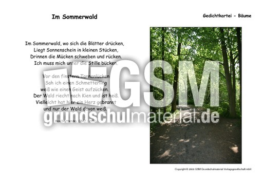 Im Sommerwald-Dauthendey.pdf